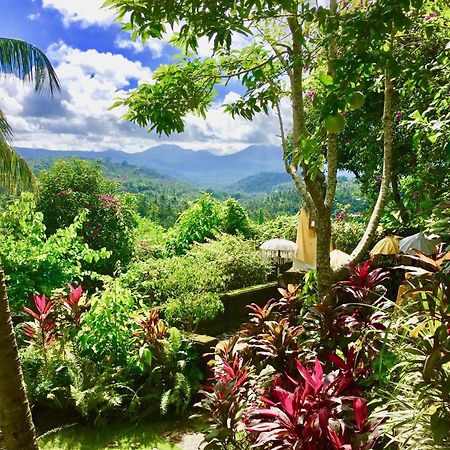Gunung Paradis Retreat Munduk Esterno foto