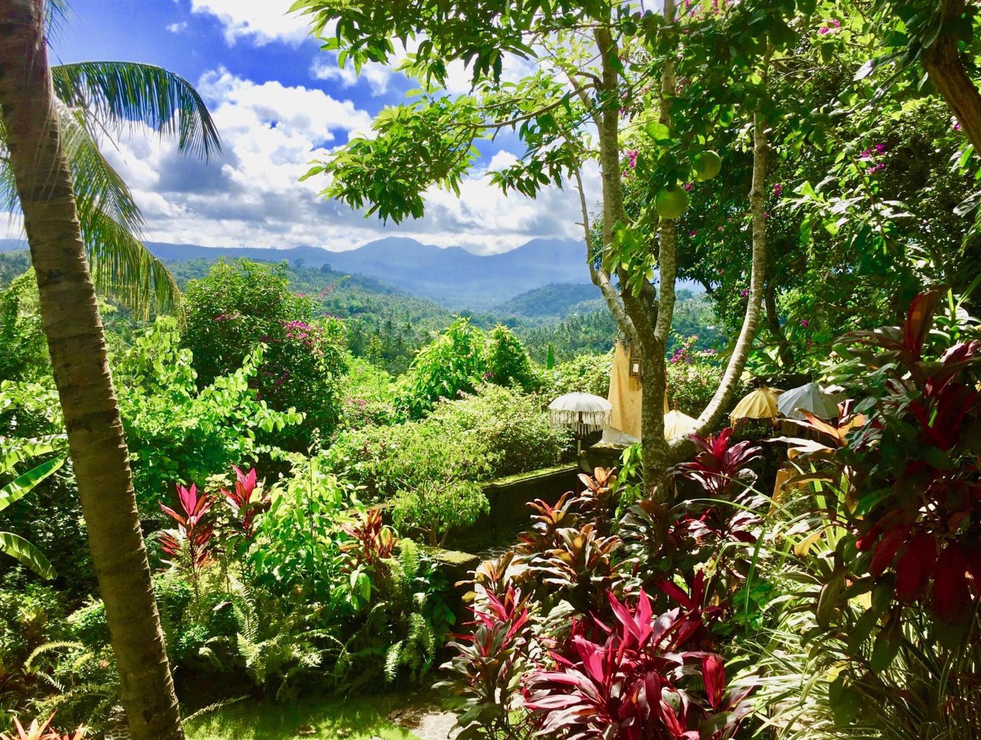 Gunung Paradis Retreat Munduk Esterno foto