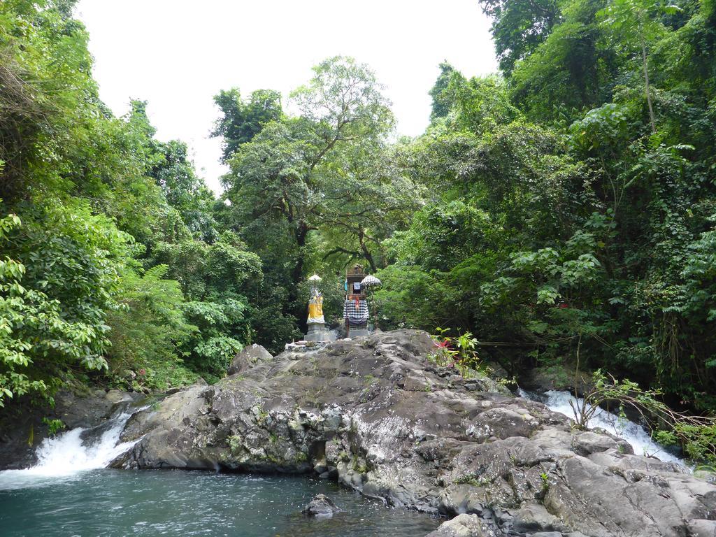 Gunung Paradis Retreat Munduk Esterno foto