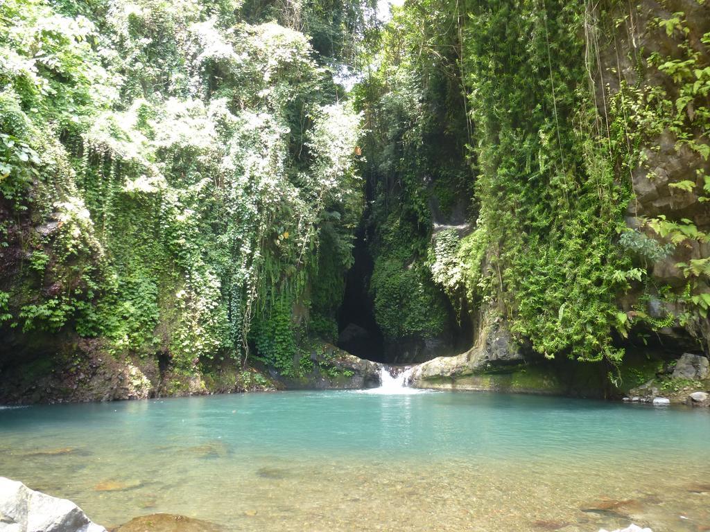 Gunung Paradis Retreat Munduk Esterno foto